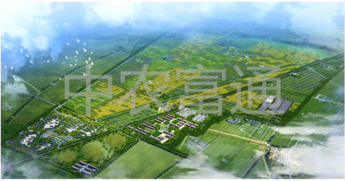 1、安徽省亳州市渦陽縣糧食產(chǎn)業(yè)現(xiàn)代農(nóng)業(yè)示范區(qū)總體規(guī)劃（2011-2015年）_副本.jpg