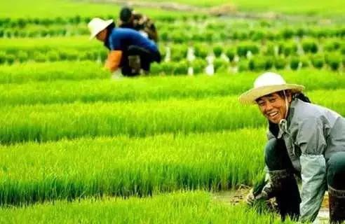 微信圖片1.jpg