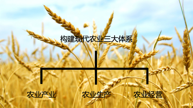 默認(rèn)標(biāo)題_自定義px_2018.04.25.jpg