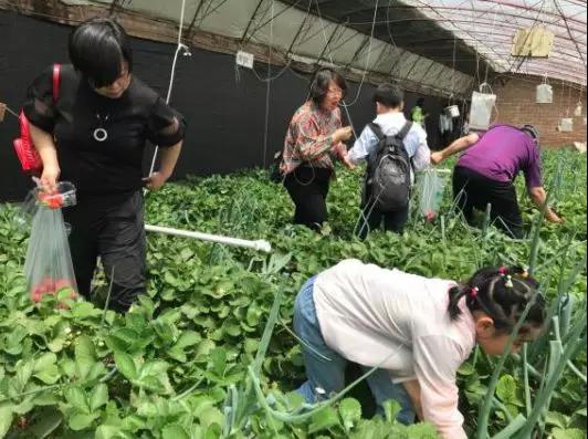 微信圖片_20190523142535.jpg